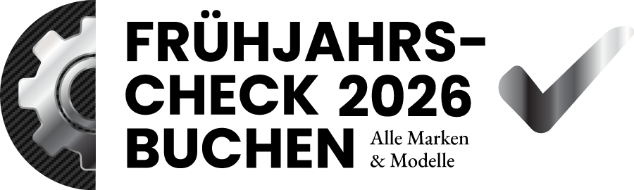 Führjahrs-Check für Auto / Oldtimer / Classic Car buchen in Esslingen Stuttgart Nähe